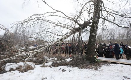 Ekshumacja możliwa już wkrótce