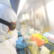 Koronawirus. Naukowcy apelują o dalsze badanie źródeł pandemii. Wirus z laboratorium?
