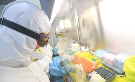 Koronawirus. Naukowcy apelują o dalsze badanie źródeł pandemii. Wirus z laboratorium?