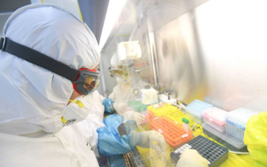 Koronawirus. Naukowcy apelują o dalsze badanie źródeł pandemii. Wirus z laboratorium?