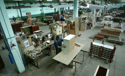 Spółki drzewne mogą liczyć na udany rok