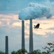 Spółki elektroenergetyczne płacą co roku miliardy euro opłat za emisję CO2