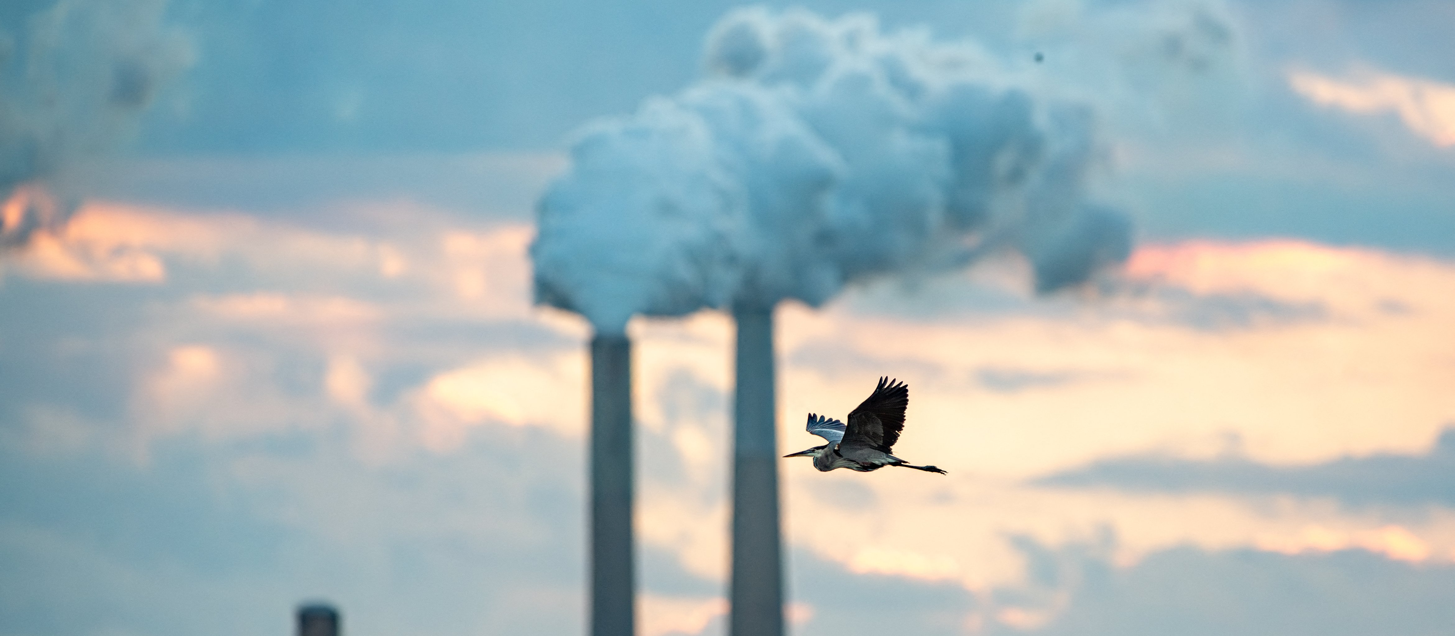 Polskie spółki apelują o ustępstwa w polityce klimatycznej