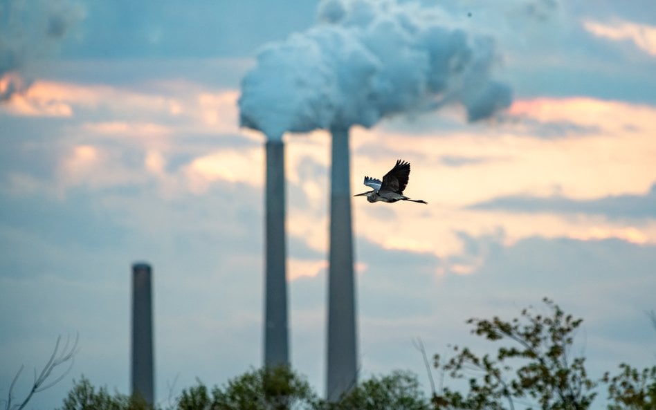 Spółki elektroenergetyczne płacą co roku miliardy euro opłat za emisję CO2