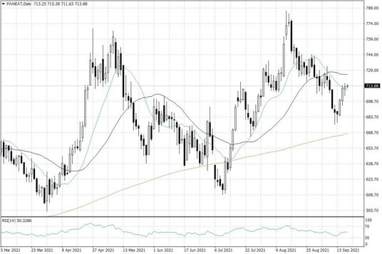 Notowania pszenicy w USA – dane dzienne