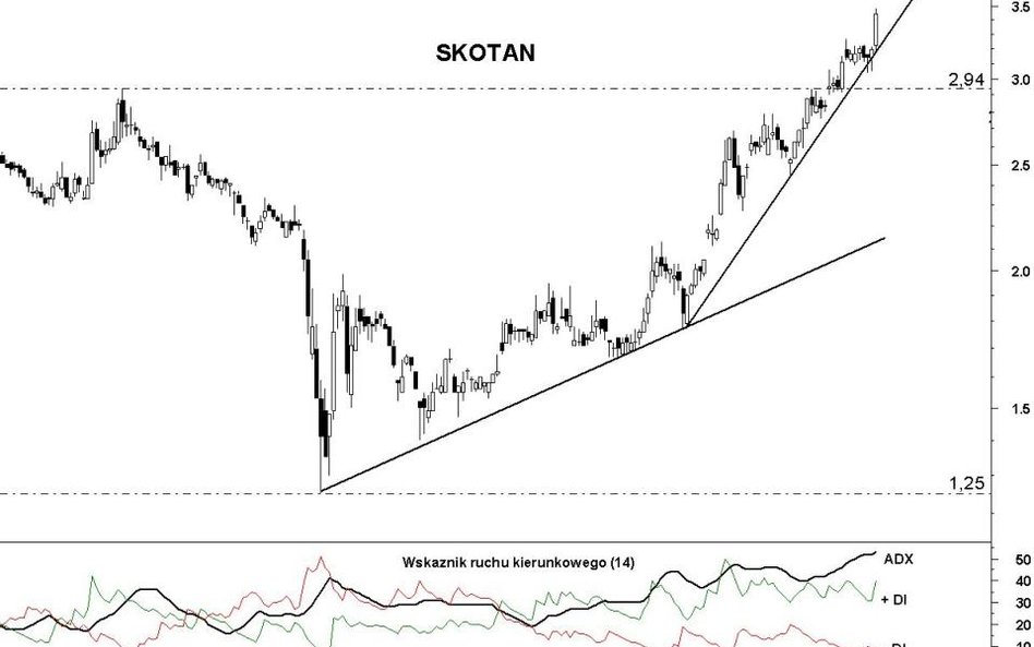 Skotan: kurs najwyżej od września 2009 r.