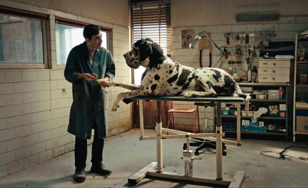 „Dogman”. Żywot okrutnika poczciwego