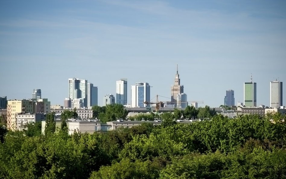 Warszawski ratusz opracuje cyfrową mapę stołecznego drzewostanu.