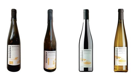Winnica Moderna, Johanniter 2019 - 50 zł, Winnica Moderna, Riesling 2019 - 50 zł, Winnica Moderna, C