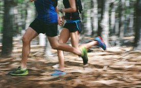 Szlak lata to jeden z sezonowych biegów w ramach wydarzenia Leśna Triada Biegowa