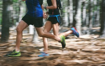 Szlak lata to jeden z sezonowych biegów w ramach wydarzenia Leśna Triada Biegowa