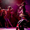 Art Color Ballet