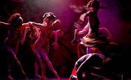 Art Color Ballet