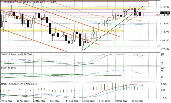 Wykres tygodniowy BOSSA EUR