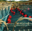Więźniowie Guantánamo: dobre kadrowanie działa na opinię publiczną Zachodu