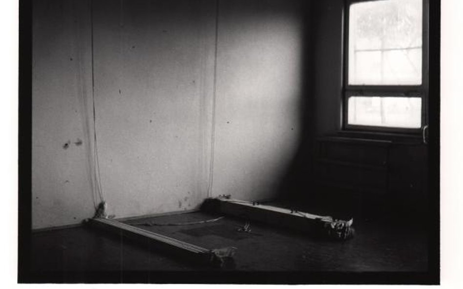 Mikołaj Smoczyński, Obrazy, 1986, 45x34cm, fotografia