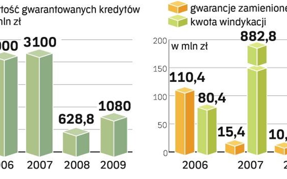 Firmy liczą na rządowe gwarancje. Oczekiwany wzrost akcji kredytowej. Jeśli rządowe plany miałyby si