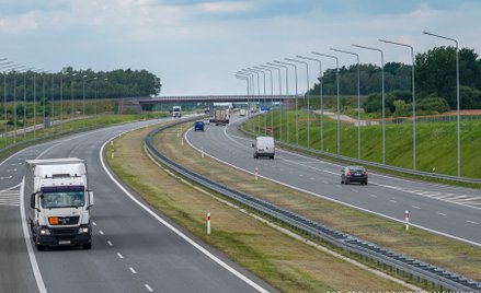 W spedycji ludzie nadal ważniejsi od sztucznej inteligencji