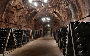 Leżakujące w piwnicy wina franciaorta