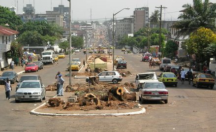 Węże wygoniły prezydenta Liberii z gabinetu