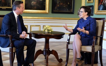 Brytyjski premier David Cameron i premier Ewa Kopacz