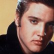 85 tysięcy Elvisów