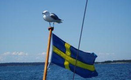 Składki od zagranicznej firmy bez siedziby w Polsce