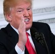 Trump: Stawiłbym czoła zamachowcowi nawet bez broni