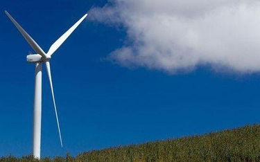 PO apeluje do rządu o szukanie nowych źródeł energii