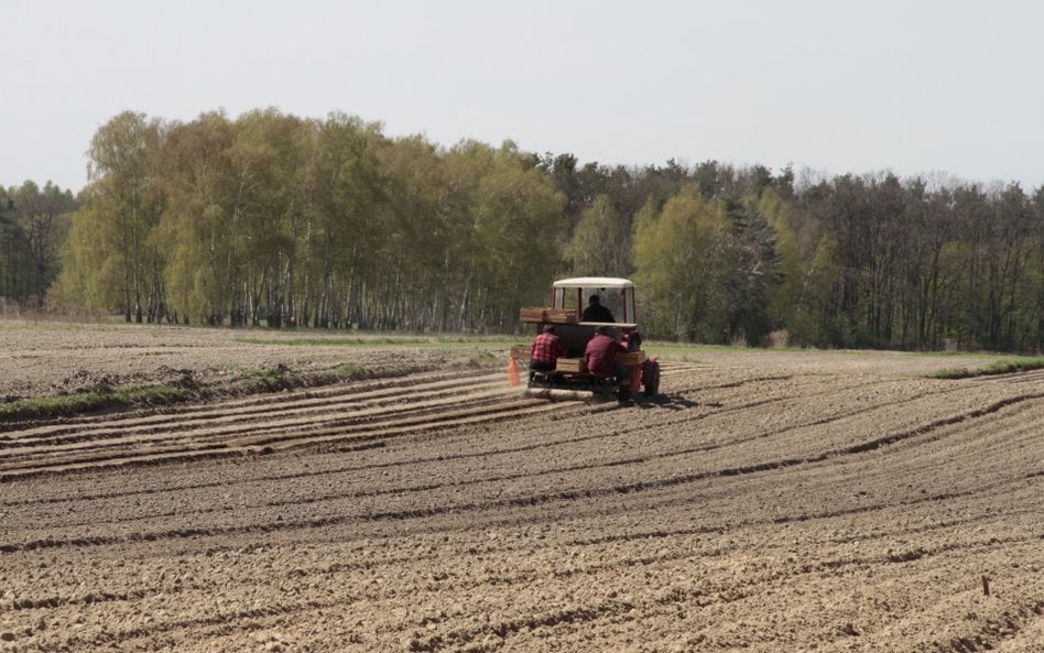 Nieco ponad 10 tys. nowych ciągników rolniczych zarejestrowano w Polsce w 2023 r.