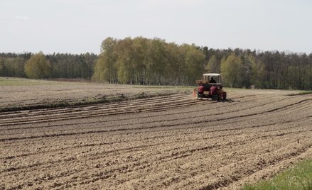 Kołodziej, Pyrgies: Likwidacja wielkotowarowych gospodarstw dzierżawców – w imię zasad?