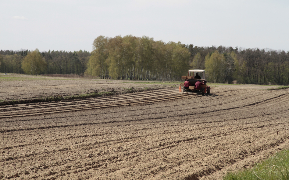 Polscy importerzy rosyjskich nawozów wspierają rosyjską wojnę