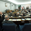 Czy celebryci z ramienia PSL zasiądą w Senacie?