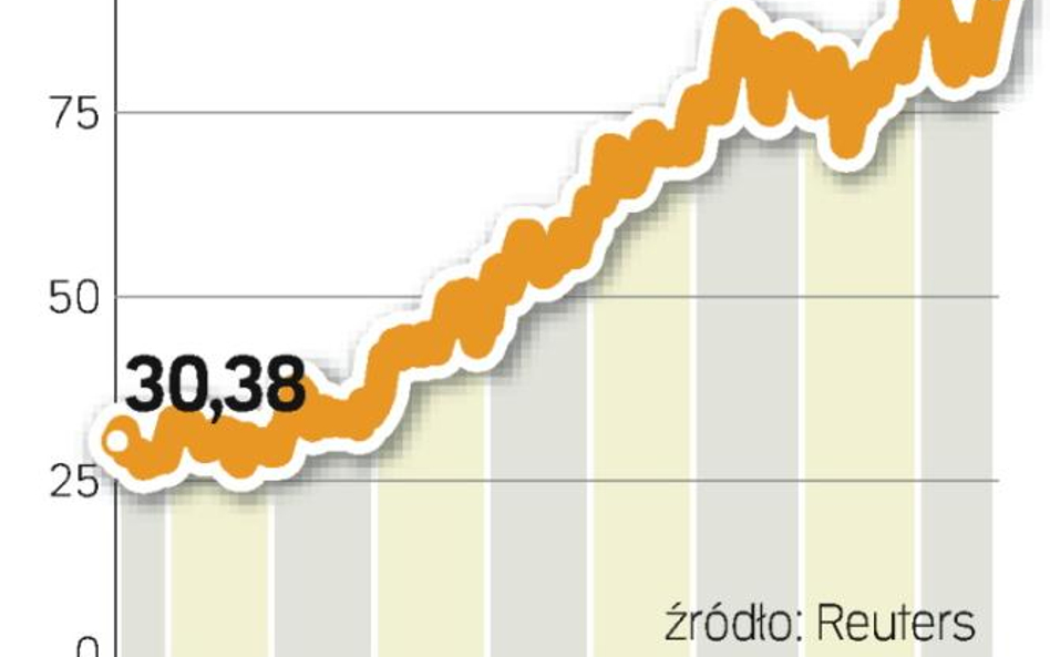 Mniejsze inwestycje. Władze spółki zdecydowały się ograniczyć w tym roku inwestycje kapitałowe o pon