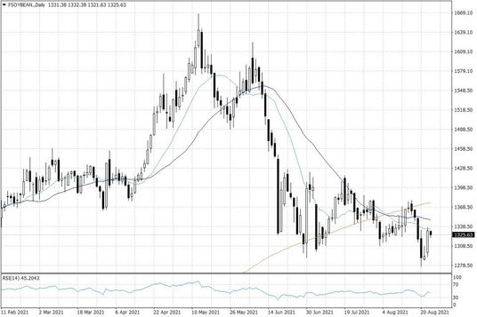 Notowania soi w USA – dane dzienne