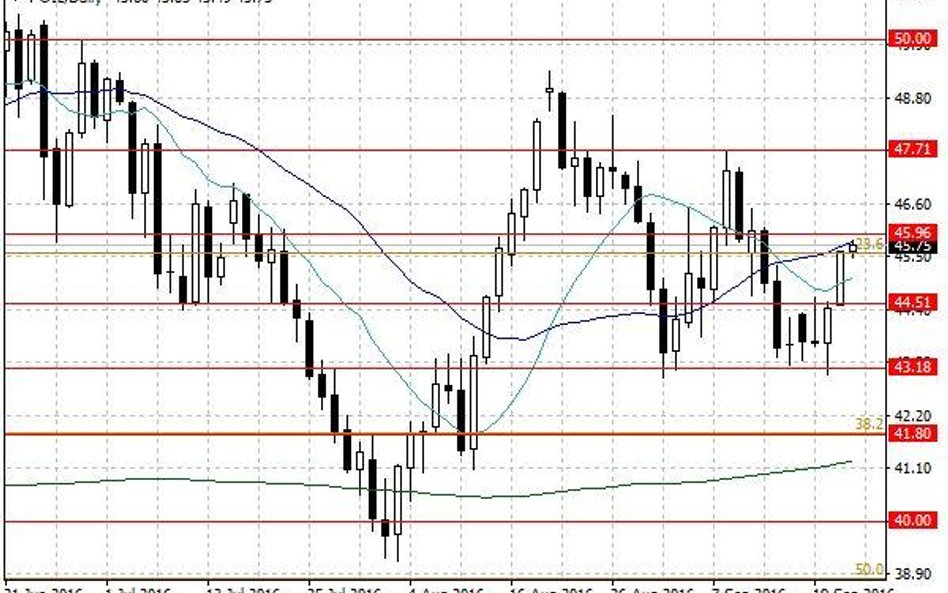 Notowania ropy naftowej WTI – dane dzienne.