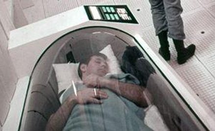 Ożywieni wielkim chłodem