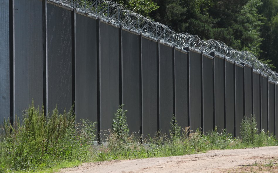 Aktywistka oskarżona o przerzucanie migrantów za pieniądze