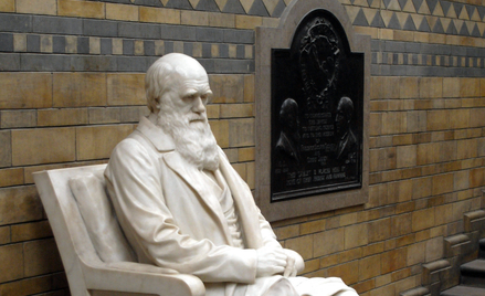 Pomnik Karola Darwina w londyńskim muzeum historii naturalnej.