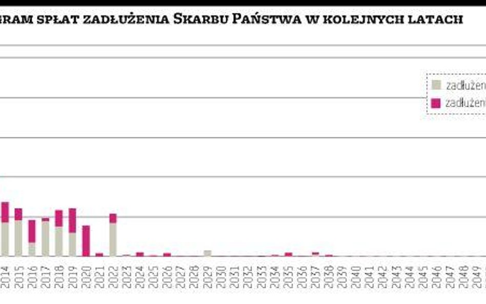 Brak perspektyw redukcji długu