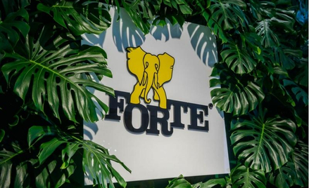 Forte: Nadzieja na udaną II połowę roku