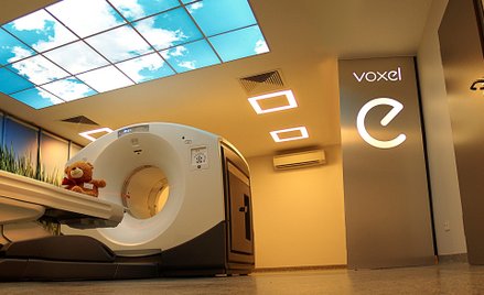 Voxel zwiększył rynkową wartość ponadsiedmiokrotnie