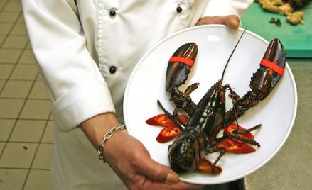 Jan Maciejewski: Homary i balansowanie wpływów