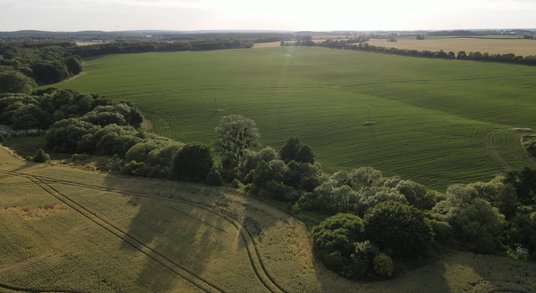 Pomorze dysponuje atrakcyjnymi terenami inwestycyjnymi, m.in. w Pruszczu Gdańskim