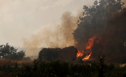 Hiszpania walczy z pożarami