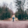 Sądy będą działały szybciej, gdy im przepisy na to pozwolą