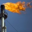Na szczycie 19–20 marca przywódcy państw UE mają przyjąć główne założenia unii energetycznej.