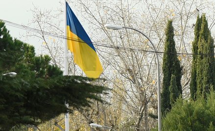 Zakrwawione przesyłki do ukraińskich ambasad. W środku oczy zwierząt