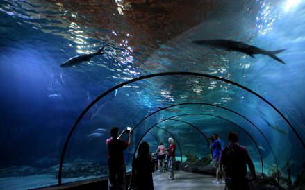 Oceanarium w Rotterdamie
