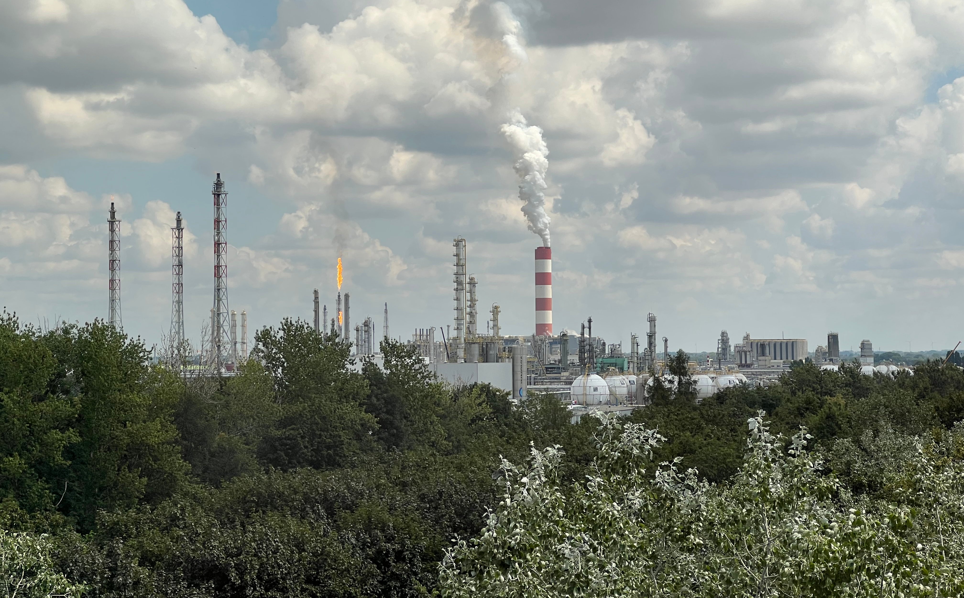 Akcjonariusze Orlenu zdecydowali o wypłacie dywidendy